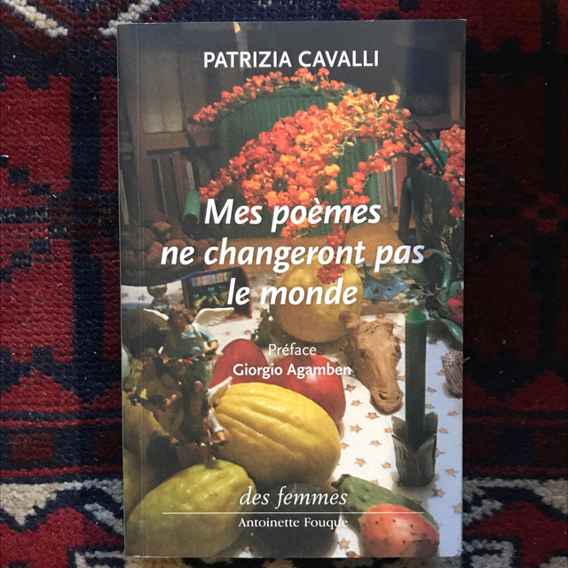 CAVALLI Patrizia - Mes poèmes ne changeront pas le monde