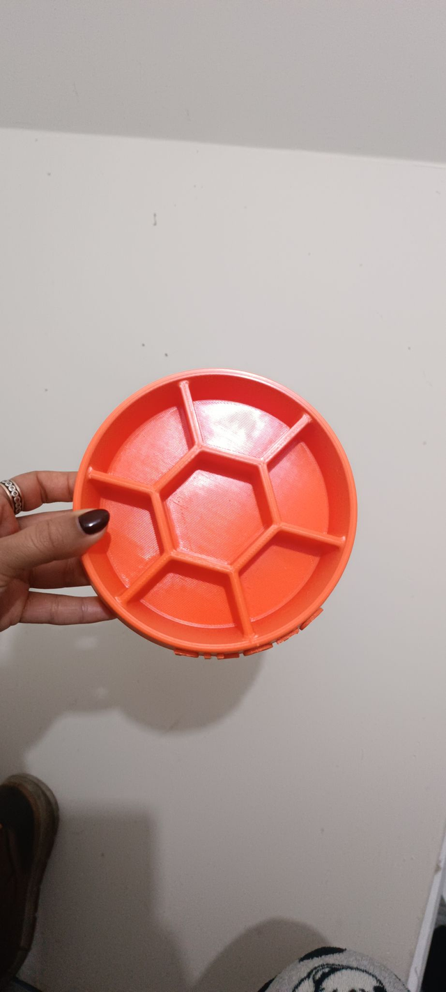 Personalised Slow Feeder