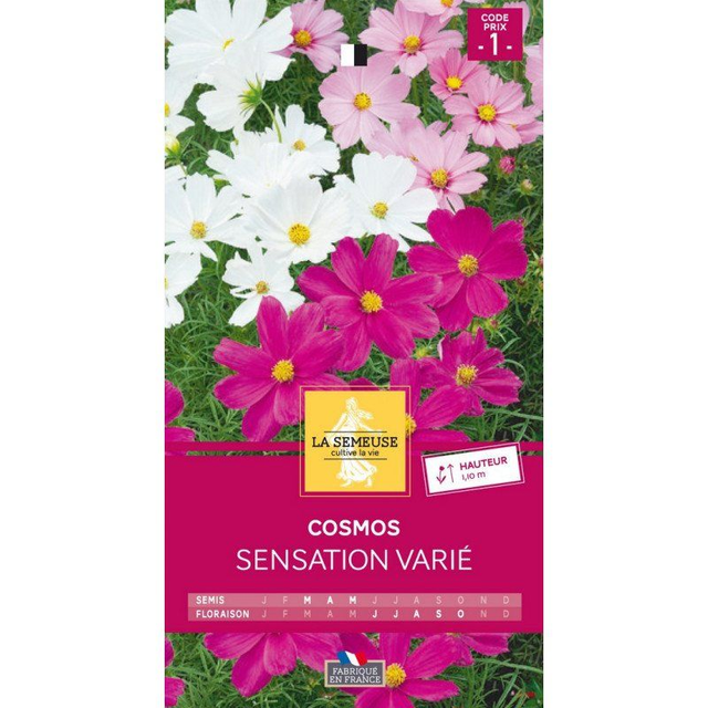 Cosmos Sensation Varié