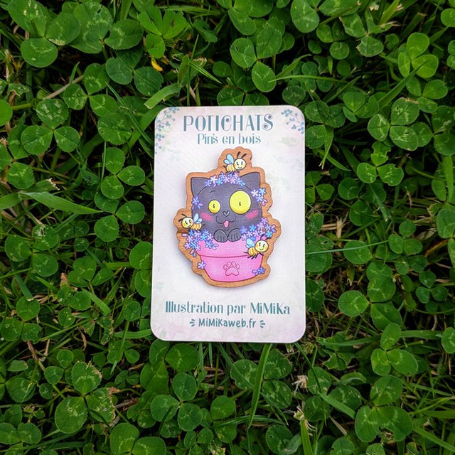 Pin's Potichat mystère