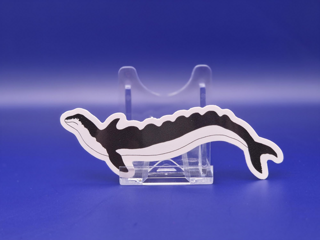 Many‐Humped Sea‐Serpent