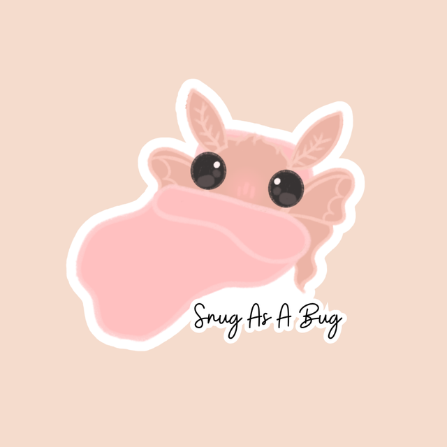 Snug as a bug sticker