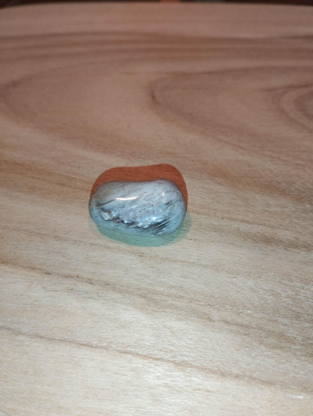 Bois fossile ou bois pétrifié 