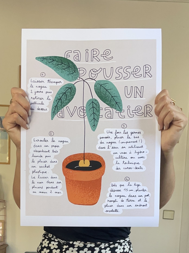 Affiche "faire pousser un avocatier"
