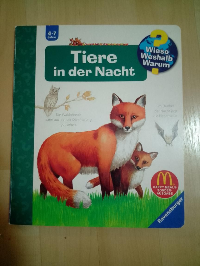 Tiere in der Nacht