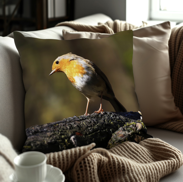 “Stunning Robin” Cushion 