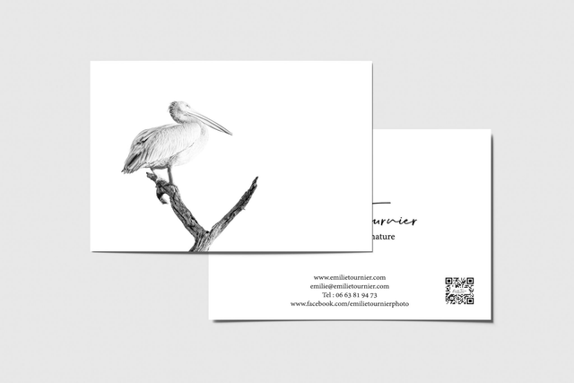 Carte postale "Pêcheur parché"