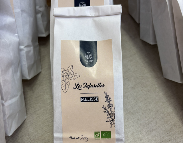 Les infusettes - Mélisse bio 20g