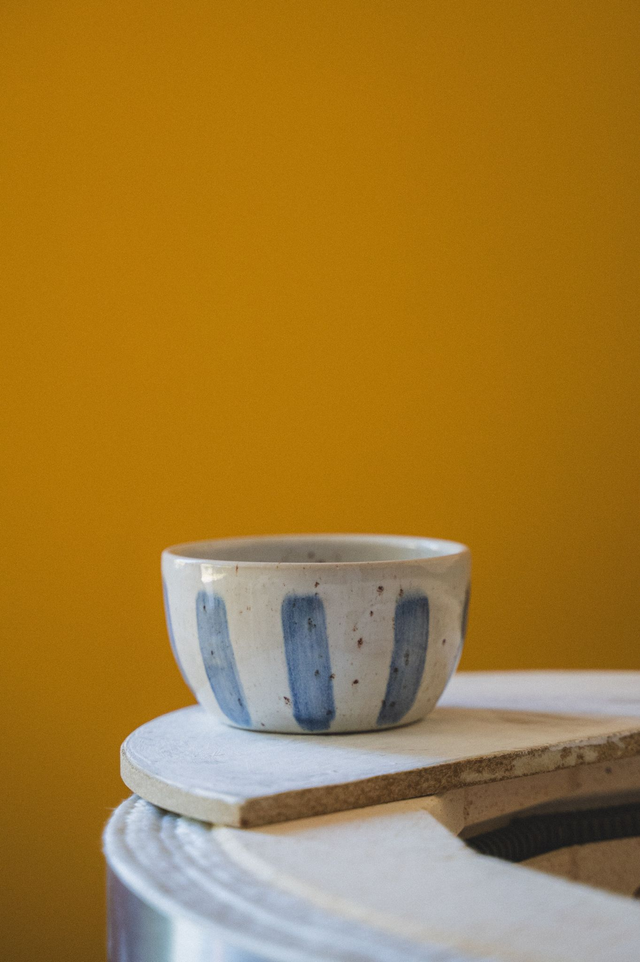 Bol blanc tacheté avec rayures bleues 💙