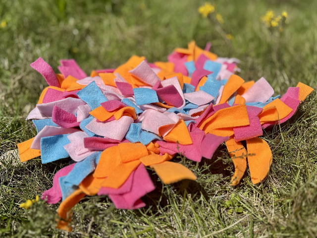 Tapis de fouille pour chien – Jouet olfactif pour stimulation mentale