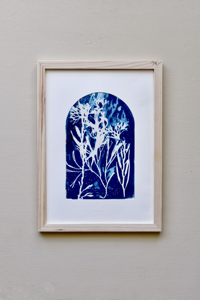 Algae - Fenêtre marine - A4