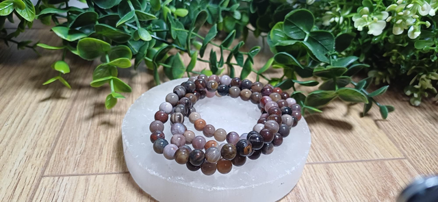 Petrified Wood 6mm Bracelet