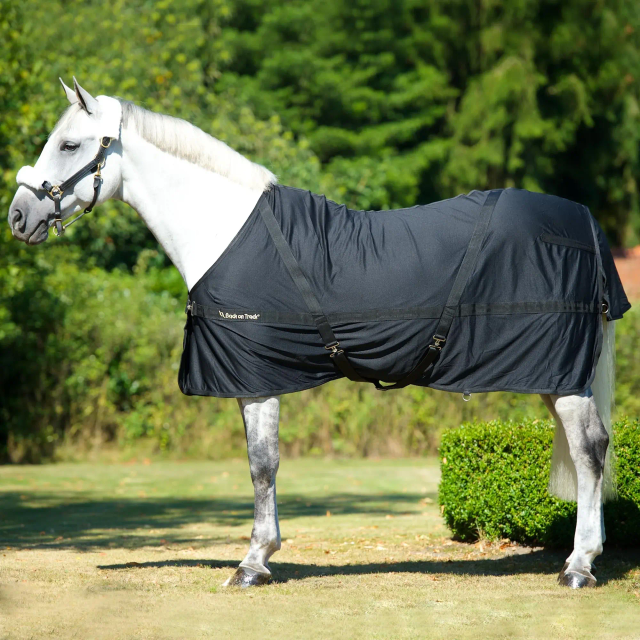 Chemise BACK ON TRACK filet Mia