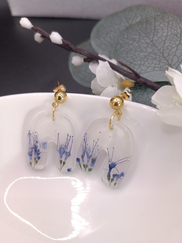 Caryopteris - modèles 1,2 et 3