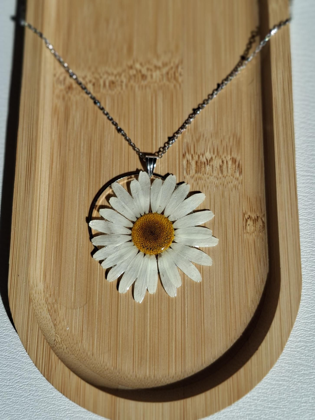 Collier "Daisy" Fleur de Marguerite naturelle résinée acier inoxydable Argent 