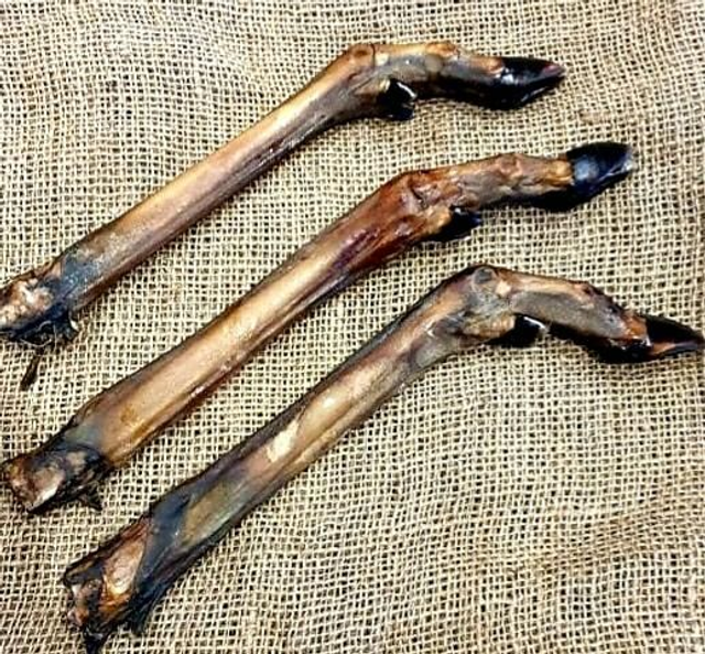 Small Roe Deer Legs🦌🦌🦌