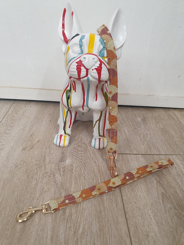 Laisse Poignée ◾️ Aurange