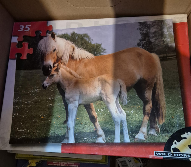 Puzzle cheval et poulain