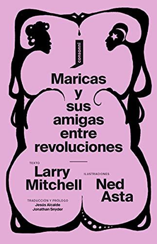 Maricas y sus amigas entre revoluciones - Larry Mitchell