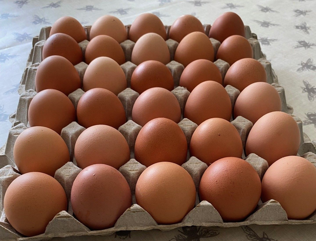 Tray of 30 Eggs 