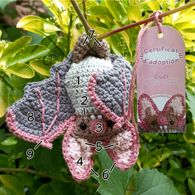 Peluche de Irvin personnalisée