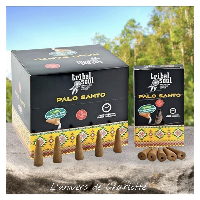 Cône d'encens "Palo santo"
