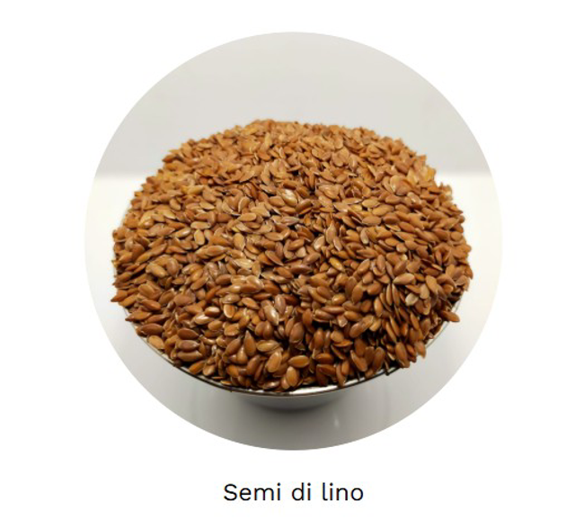 Semi di lino