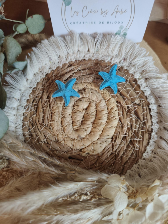 Bo pampa étoile de mer 0000187