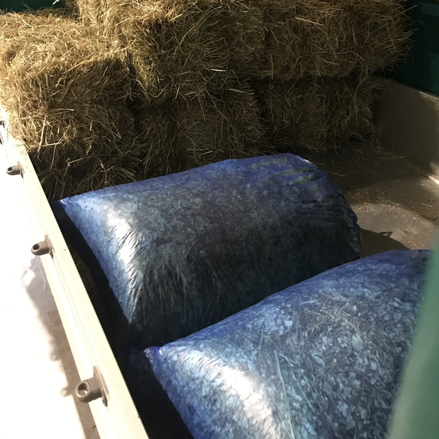 Mist 💩 Entsorgung Hasen 🐰 & Co 🐹