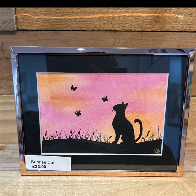Sunrise Cat