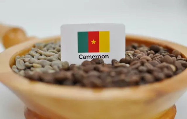 Café D'Afrique Cameroun