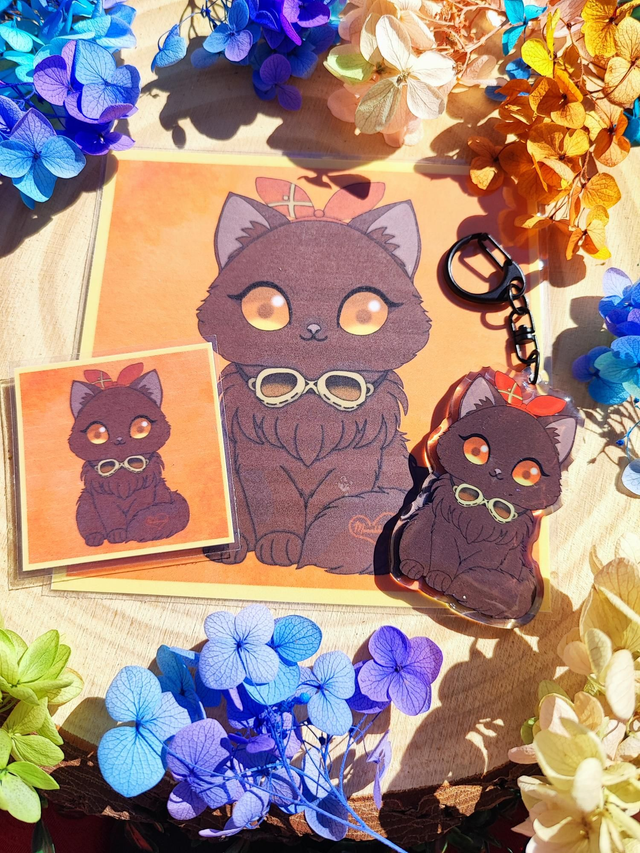 Box Genshin Cats - Amber