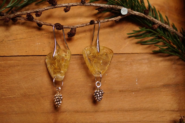 Boucles d'oreilles - Pomme de pin - Immortelle