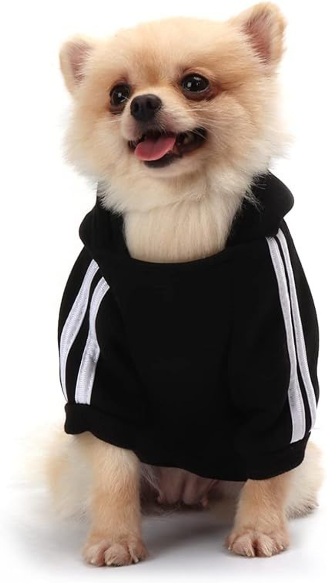 QiCheng &amp; LYS pull "sweet" chien noir  T XL