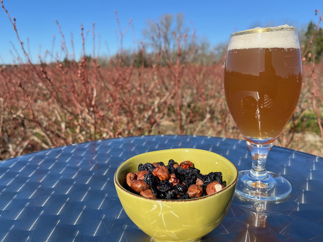 "Apéro" mélange myrtilles et noisettes - 100g