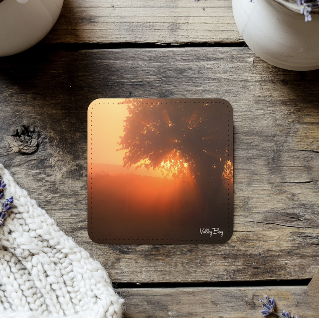 “Tree of Light” Coaster  