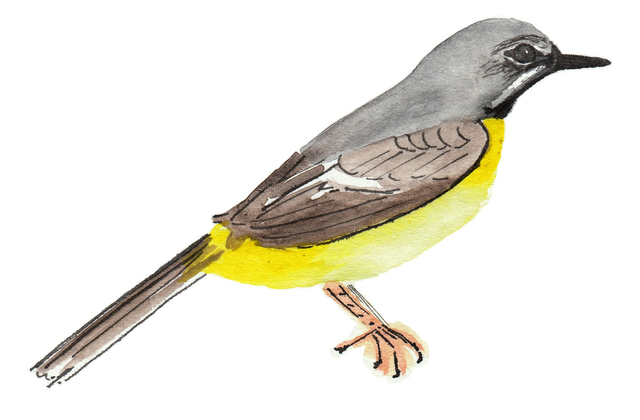 Carton de 6 bouteilles Hoche-Queue Bergerac Blanc Sec 2022