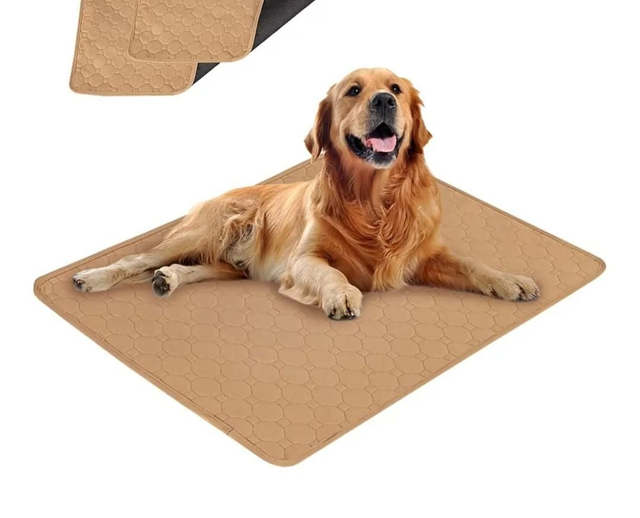 Lamb/dog Absorbant training pad100x 70cm