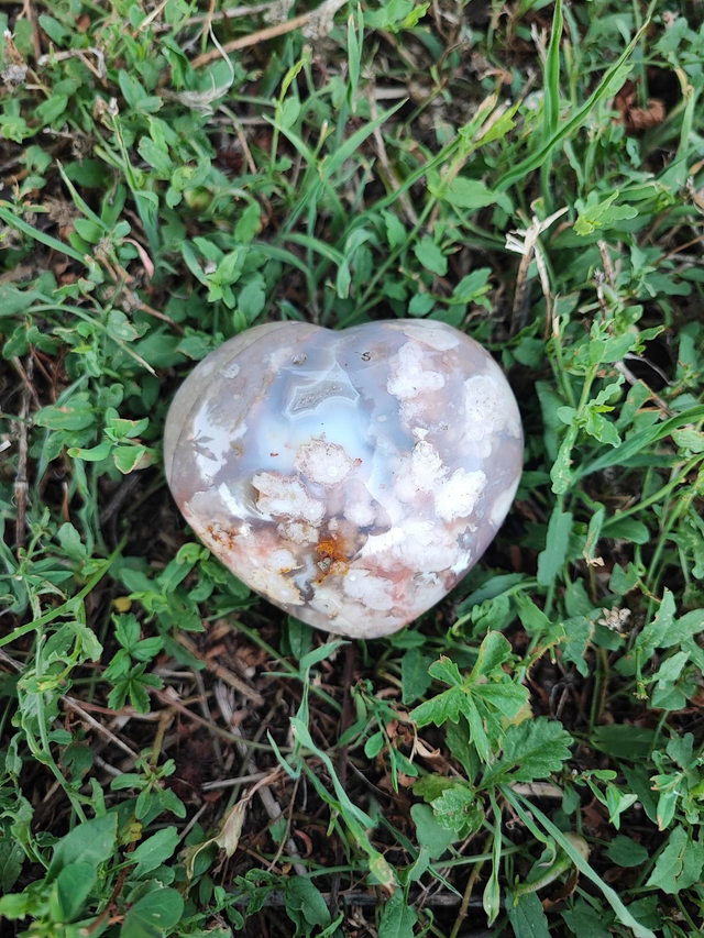 Coeur Agate fleur de cerisier A