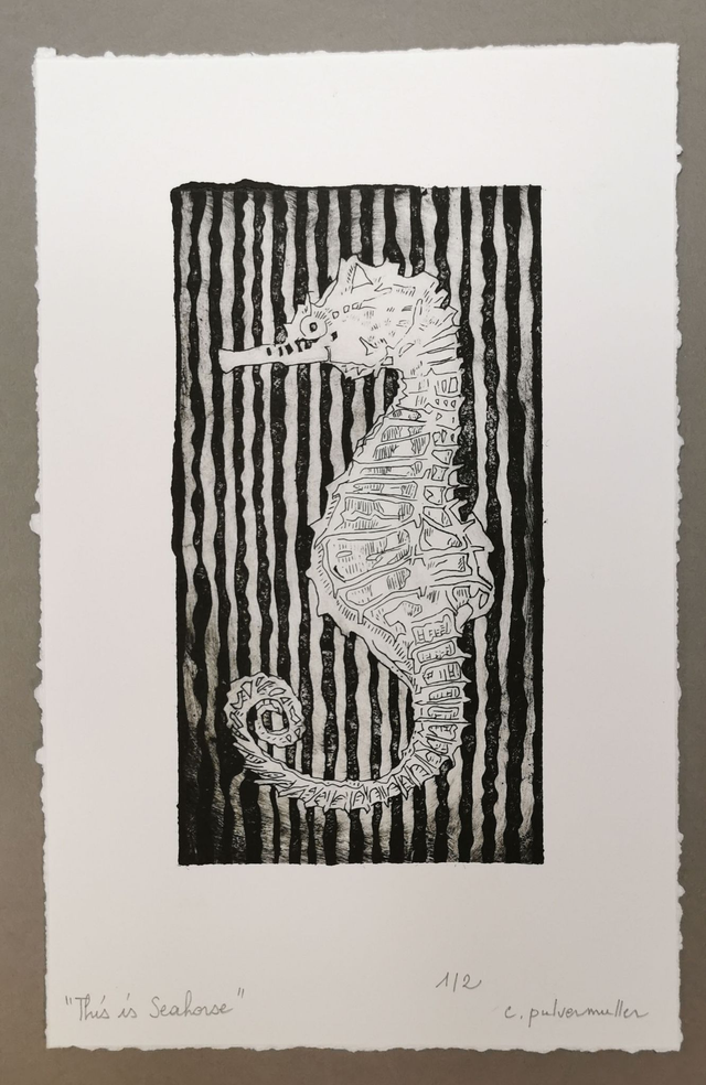 This is Seahorse 1/2