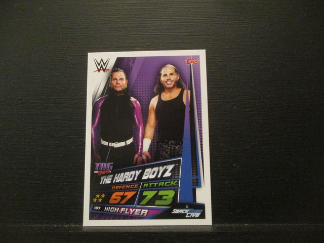 The Hardy Boyz - Tag Team Slam Attax Universe Original Trading Card #167