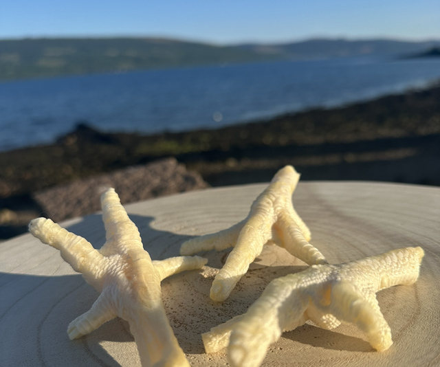 Puffed Chicken Feet