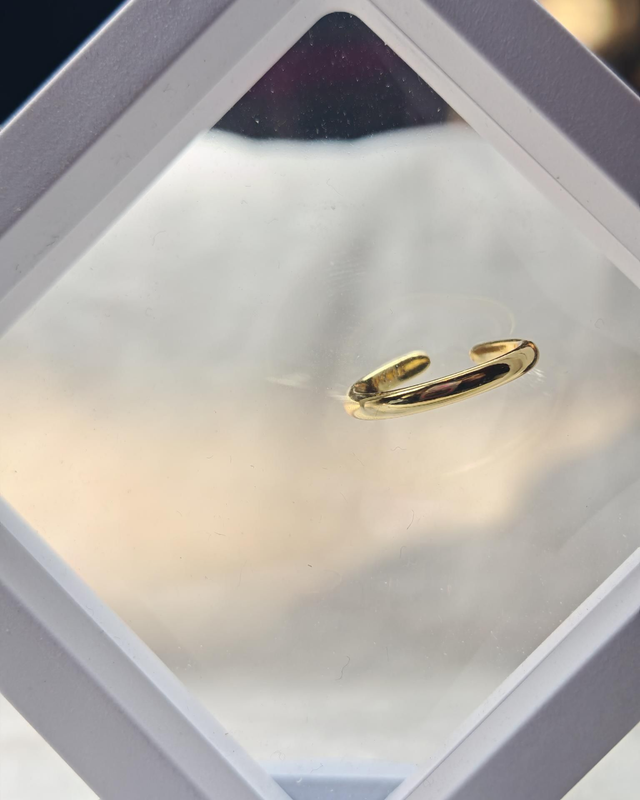 Teenring Stainless Steel Goud kleur 