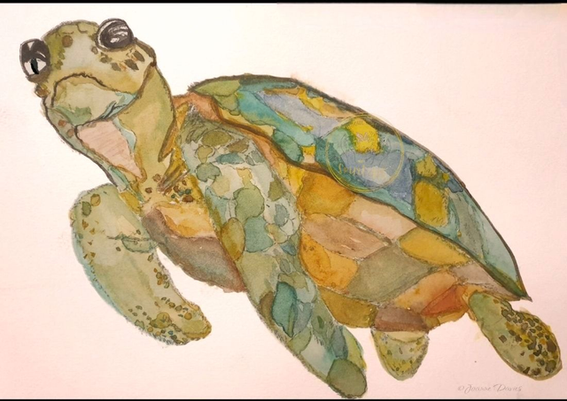 Turtle