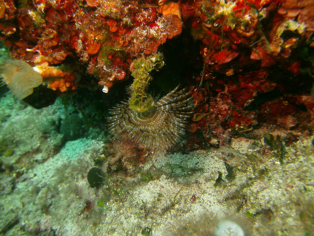 Komplette Ausrüstung o. Computer 