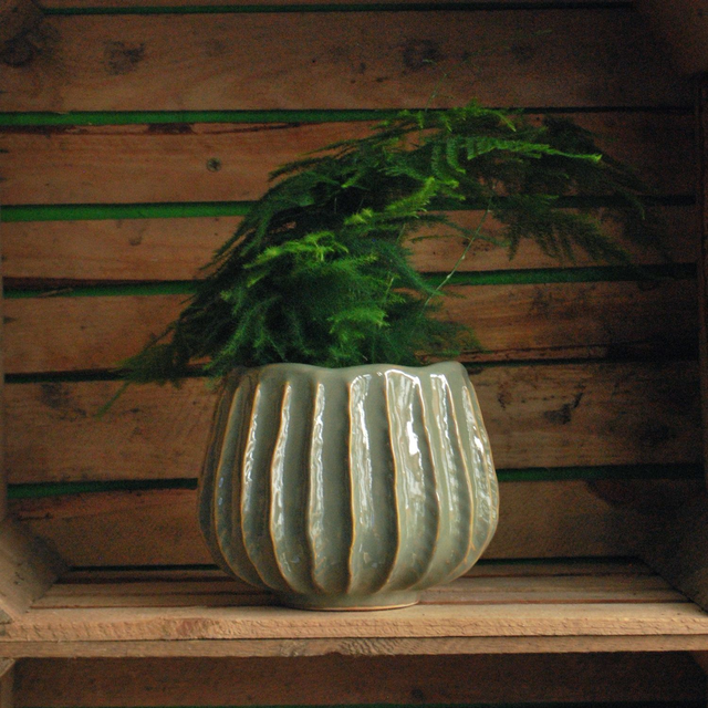 Ribbed Pot - Pale Green