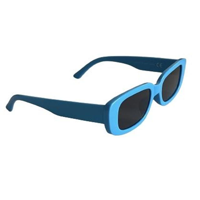 Lunette monture plastique bleue