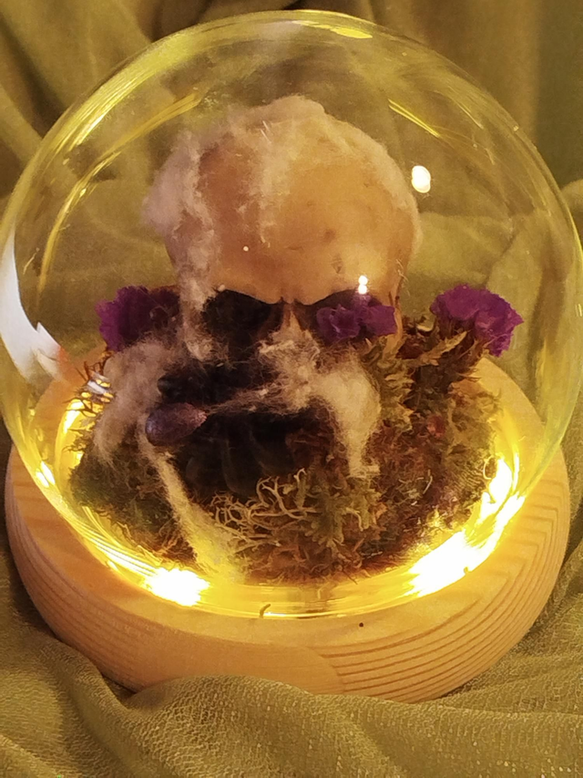 Globe crâne et araignée 2