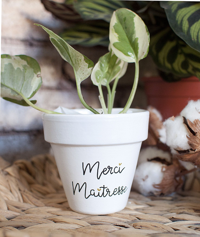 Cache pot / pot en terre cuite personnalisé : Merci Maitresse 