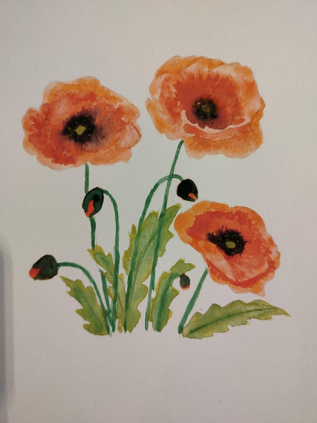 Aquarelle originale fait main coquelicots 